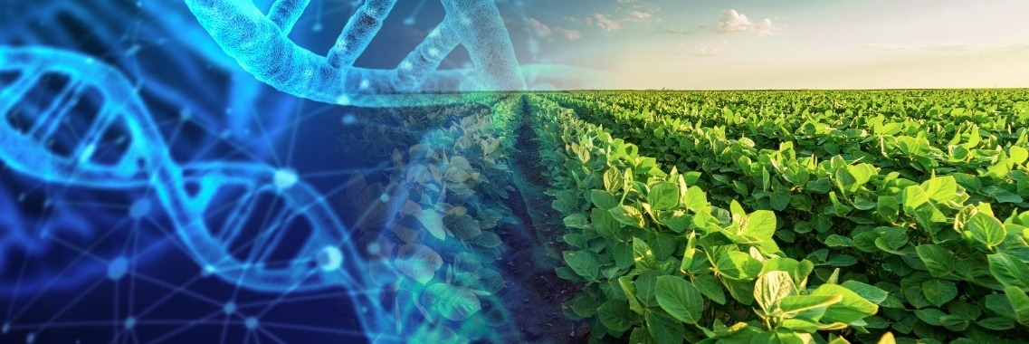 Gentech Cultivar Purity