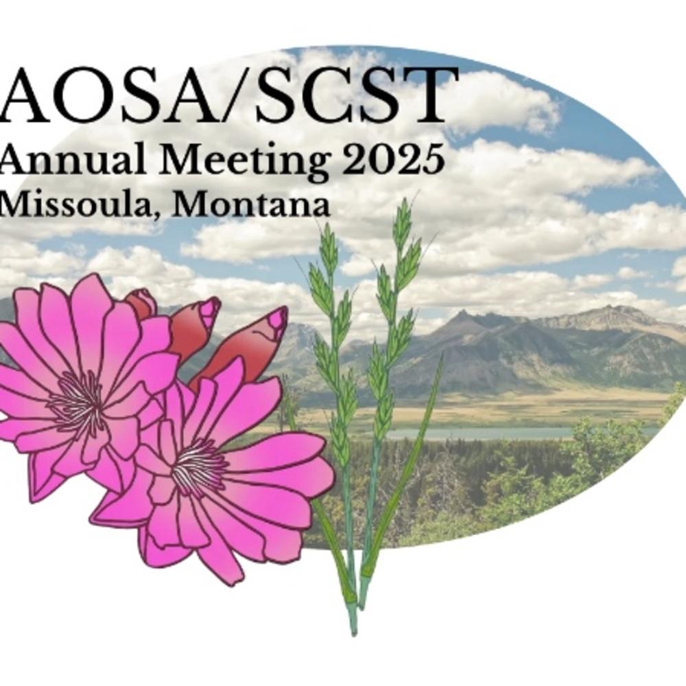 annual meeting logo